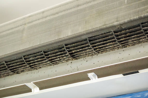 Best Affordable HVAC Duct Cleaning  in Jarrell, TX