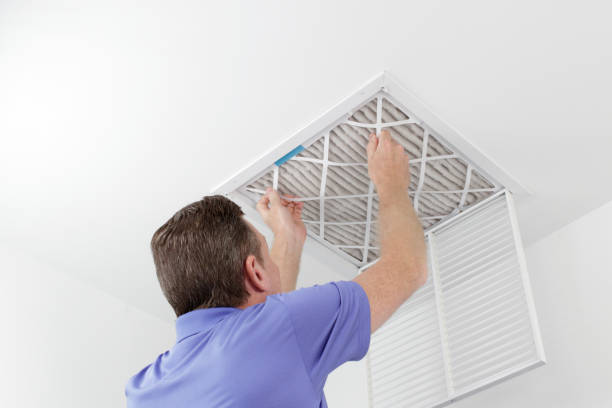 Best Ductwork Cleaning Services  in Jarrell, TX